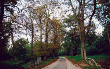 Картинка природа парк осень