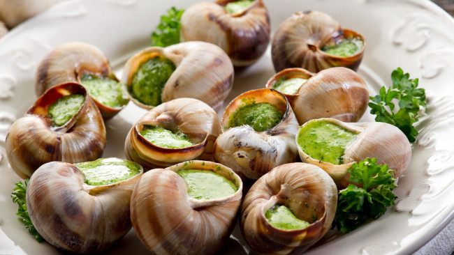 Обои картинки фото еда, рыбные блюда,  с морепродуктами, улитки