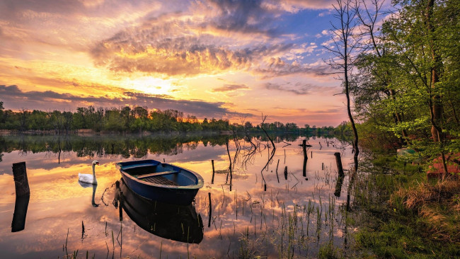 Обои картинки фото корабли, лодки,  шлюпки, лодка, лебедь