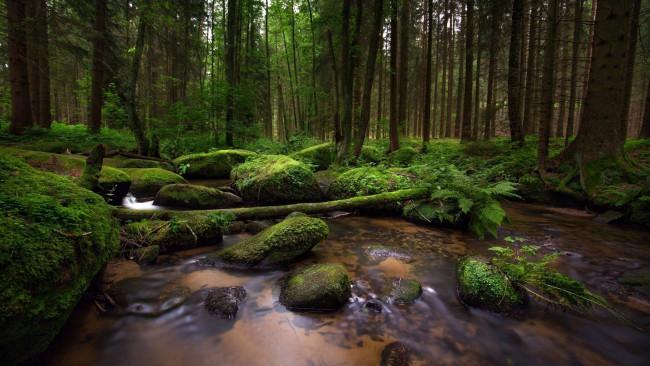 Обои картинки фото природа, реки, озера, камни, река