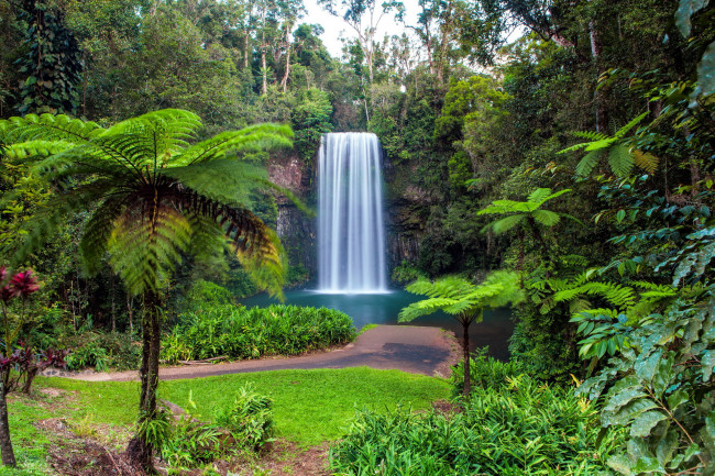 Обои картинки фото millaa millaa falls, north queensland, australia, природа, водопады, millaa, falls, north, queensland