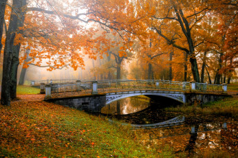 обоя города, - мосты, мост, пруд, листья, парк, осень, туман