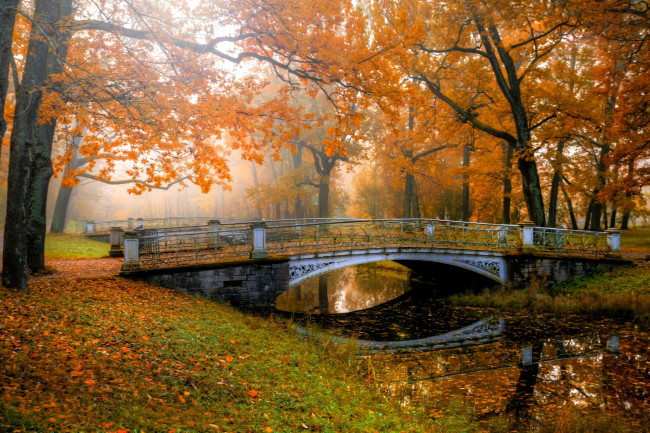 Обои картинки фото города, - мосты, мост, пруд, листья, парк, осень, туман