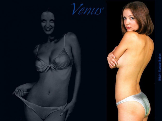 Обои картинки фото bikini, karate, babes, видео, игры