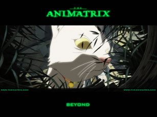 Картинка аниме animatrix