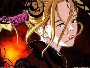 Картинка аниме witch hunter robin