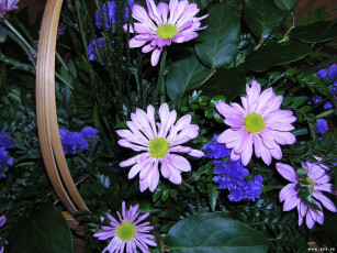 Картинка цветы букеты композиции