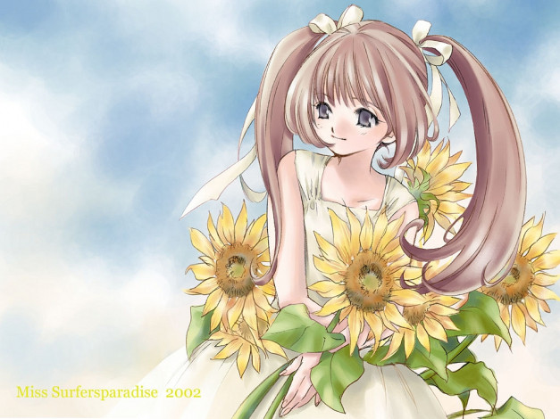 Обои картинки фото аниме, miss, surfersparadise
