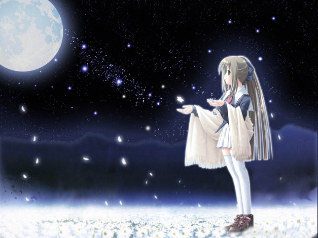 Обои картинки фото аниме, *unknown, другое