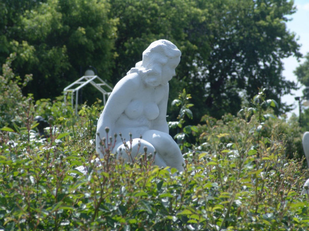 Обои картинки фото города