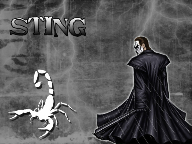 Обои картинки фото спорт, wwe