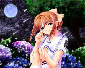 Картинка аниме after sweet kiss