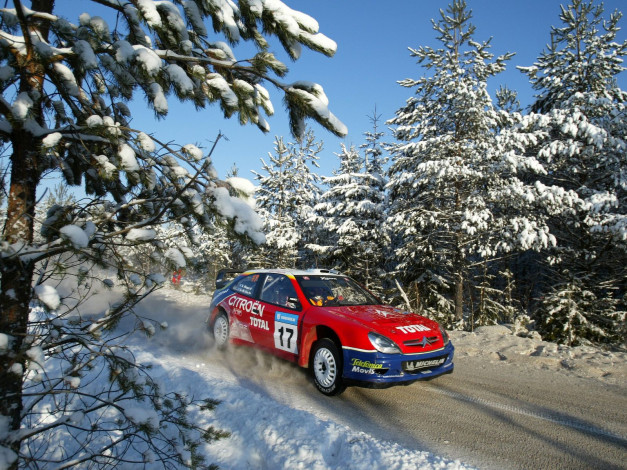 Обои картинки фото спорт, авторалли