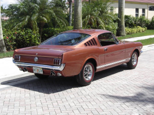 Картинка автомобили mustang