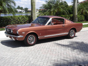 Картинка автомобили mustang