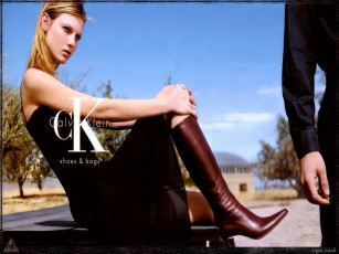 Картинка бренды calvin klein