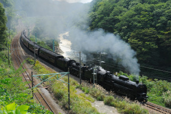 Картинка техника паровозы рельсы деревья