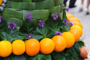 Картинка еда цитрусы апельсины