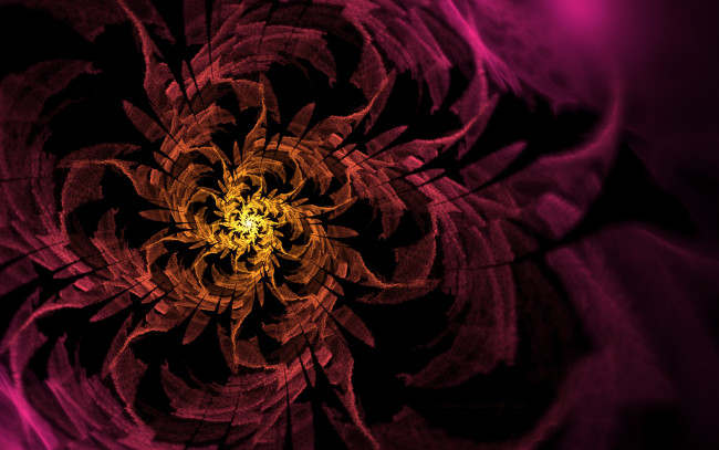 Обои картинки фото 3д, графика, fractal, фракталы, фон, цвета, узор