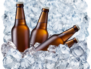 Картинка еда напитки пиво бутылки лед