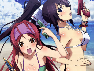 Картинка аниме infinite stratos девушки