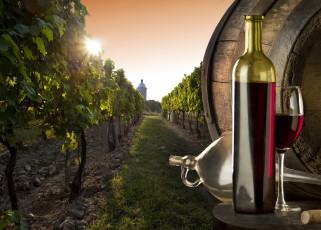 Картинка еда напитки вино виноградник поле бочка бутылка бокал пробка