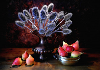 Картинка еда груши плоды колючки