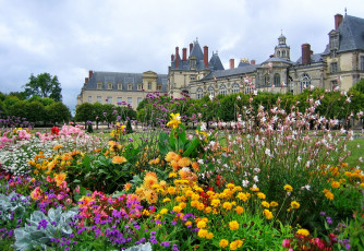 Картинка франция иль де франс фонтенбло города дворцы замки крепости дворцовый комплекс цветы клумба парк