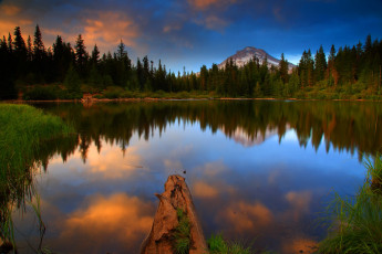 Картинка mt hood national forest oregon природа реки озера озеро лес парк трава