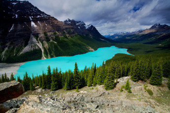 Картинка peyto lake banff canada природа реки озера канада банф горы лес озеро