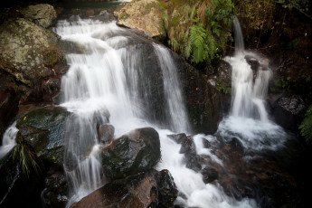Картинка природа водопады камни лес водопад
