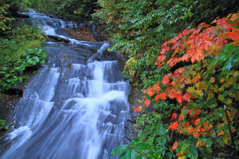 Картинка природа водопады река лес