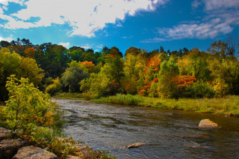 Картинка природа реки озера деревья река осень