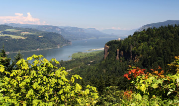 Картинка река columbia oregon природа реки озера панорама горы трава деревья