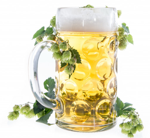 Обои картинки фото еда, напитки, пиво, хмель, ружка