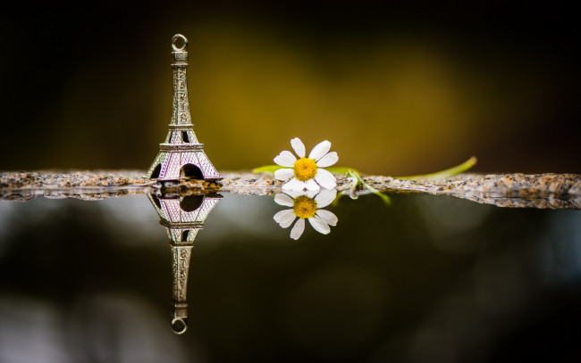 Обои картинки фото разное, сувениры, отражение, макро, ромашка, сувенир, эйфелева, башня