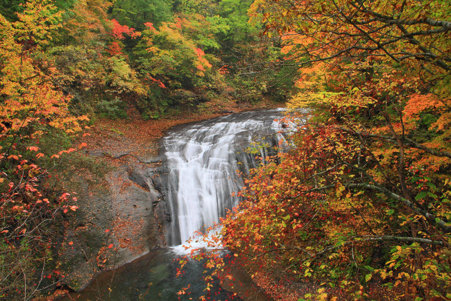 Обои картинки фото природа, водопады, лес, река