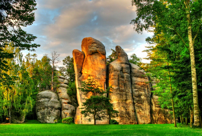 Обои картинки фото природа, лес, опушка, трава, деревья, скалы