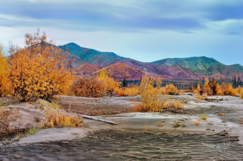 Картинка природа горы деревья трава небо осень