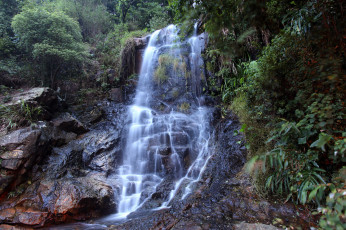 Картинка природа водопады водопад река лес