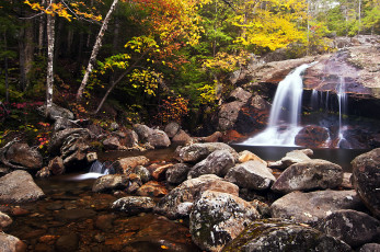 Картинка природа водопады водопад река лес