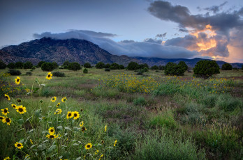 Картинка природа луга горы цветы закат облака небо пейзаж