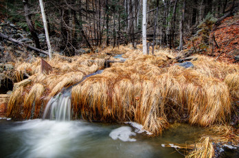Картинка природа водопады река лес водопад