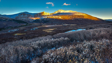 Картинка природа горы кусты растения небо