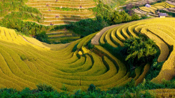 Картинка природа поля пейзаж