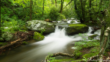 Картинка природа водопады потоки лес водопад камни