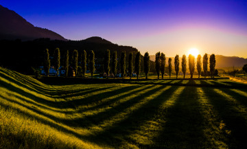 Картинка природа восходы закаты ненцинг austria nenzing пейзаж трава небо тени деревья солнце закат австрия лужайка