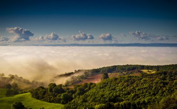 Картинка природа лес деревья облака небо пейзаж