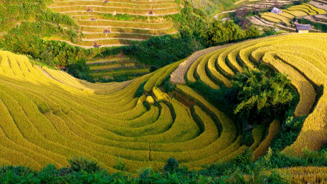 Обои картинки фото природа, поля, пейзаж