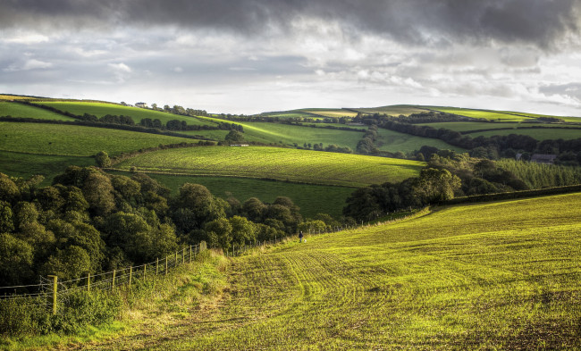 Обои картинки фото природа, поля, англия, корнуолл, холмы, деревья, деревенский, пейзаж